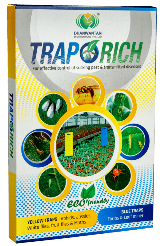 TrapoRich
